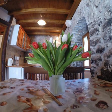 Dalmatian Villas Split Kültér fotó